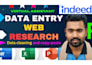 do data collection, data entry and web research in excel 24
